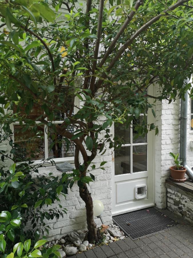 May-Apartment Koeln Zentrale Ferienwohnung Bagian luar foto
